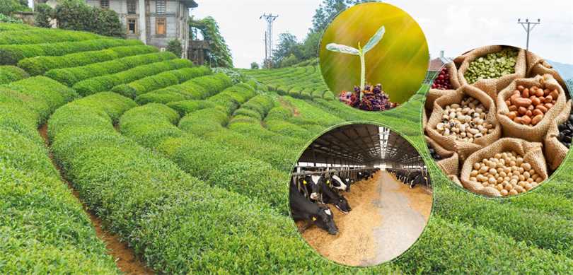 5,5 Milyarlık Destek Bugün Hesaplarda!