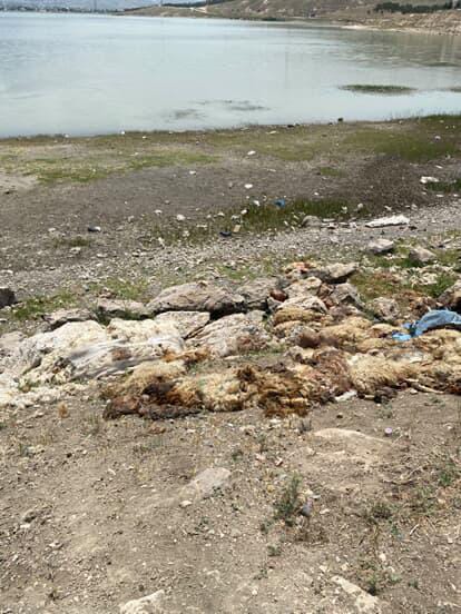 Sıhke Gölü Çevresinde Kötü Koku ve Çevre Felaketi