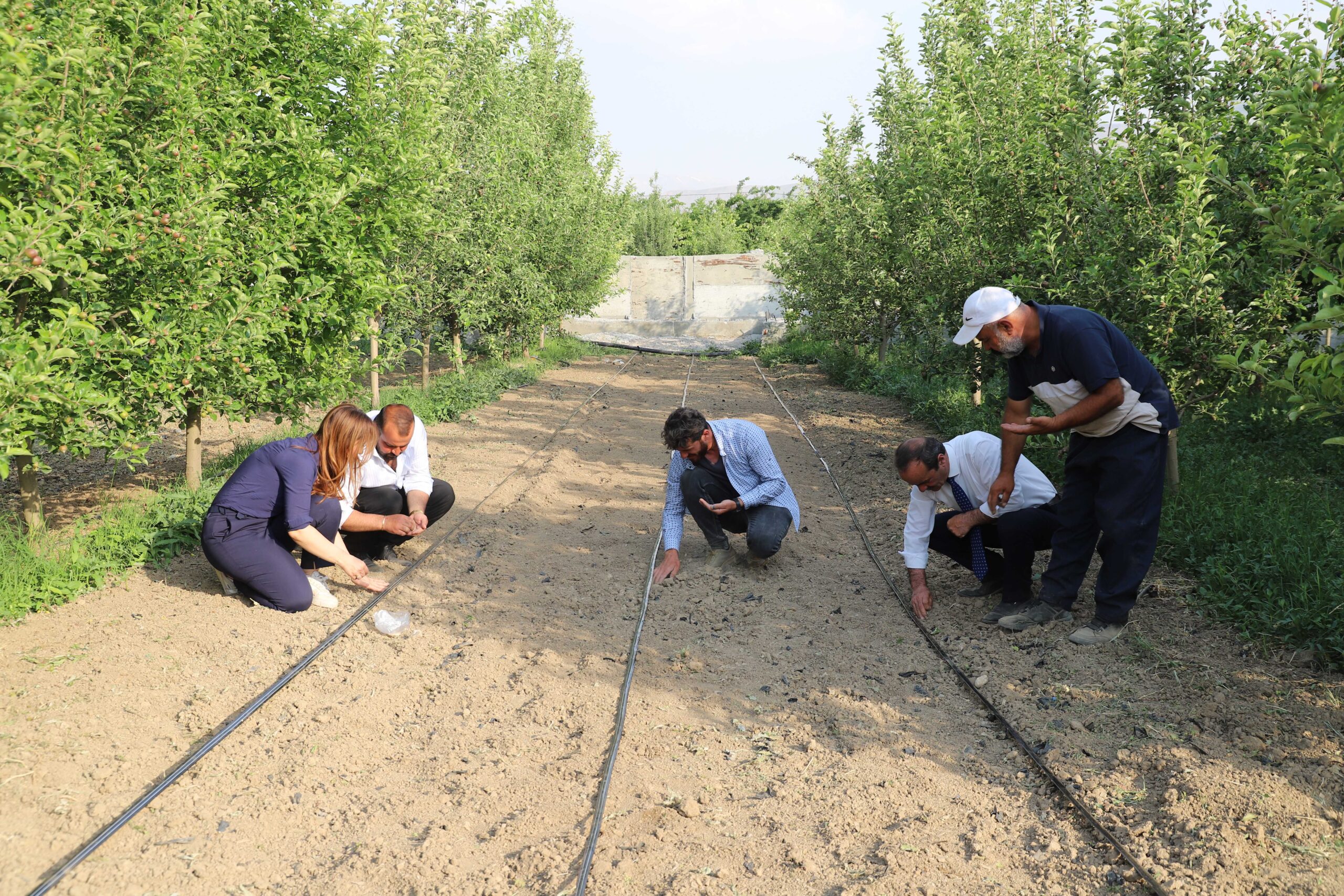 Van’ın Tescilli Ürünü Sıhke Kavunu Tohumları Toprakla Buluştu