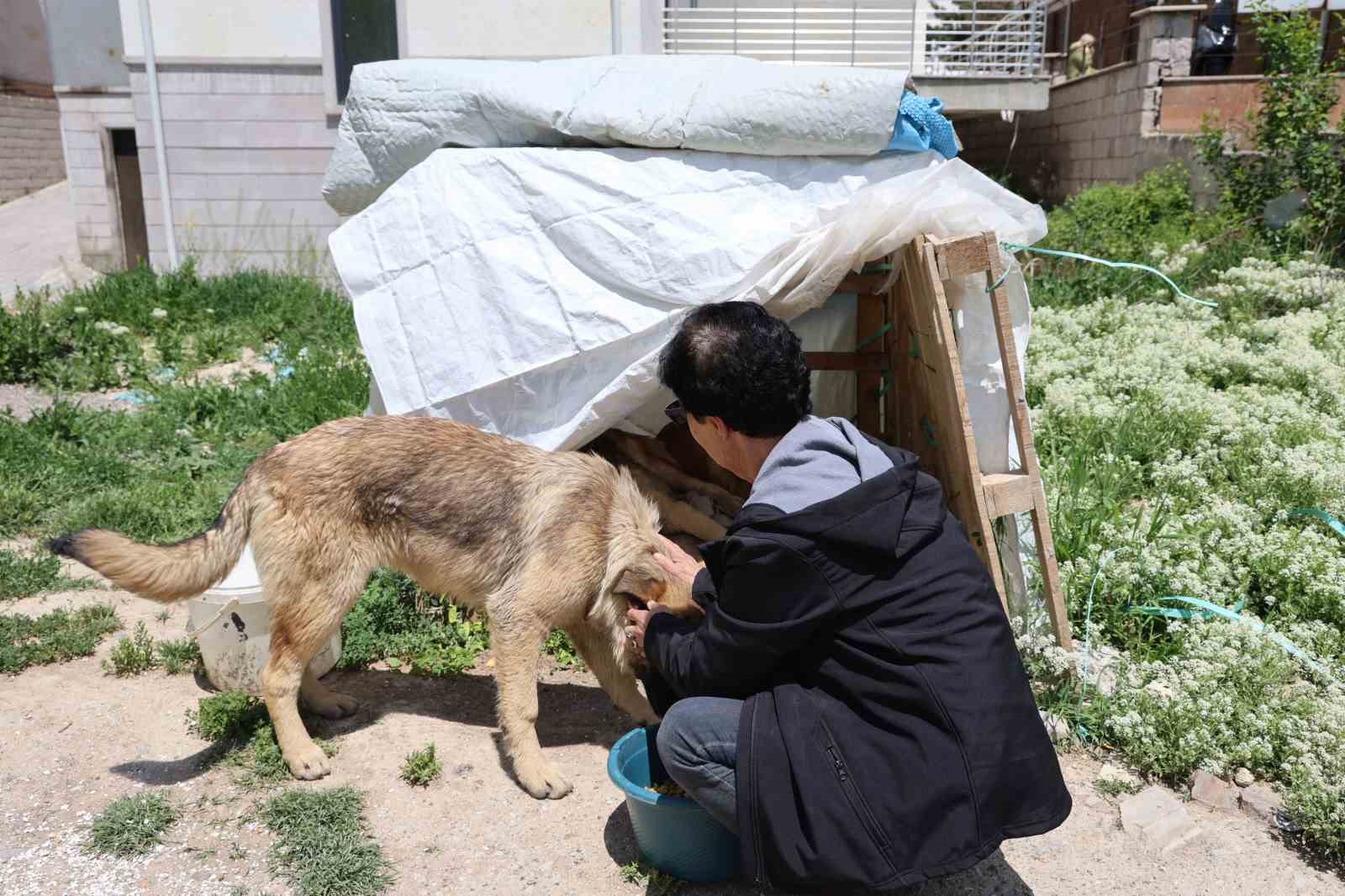 30 yıldır sokak hayvanlarını besliyor