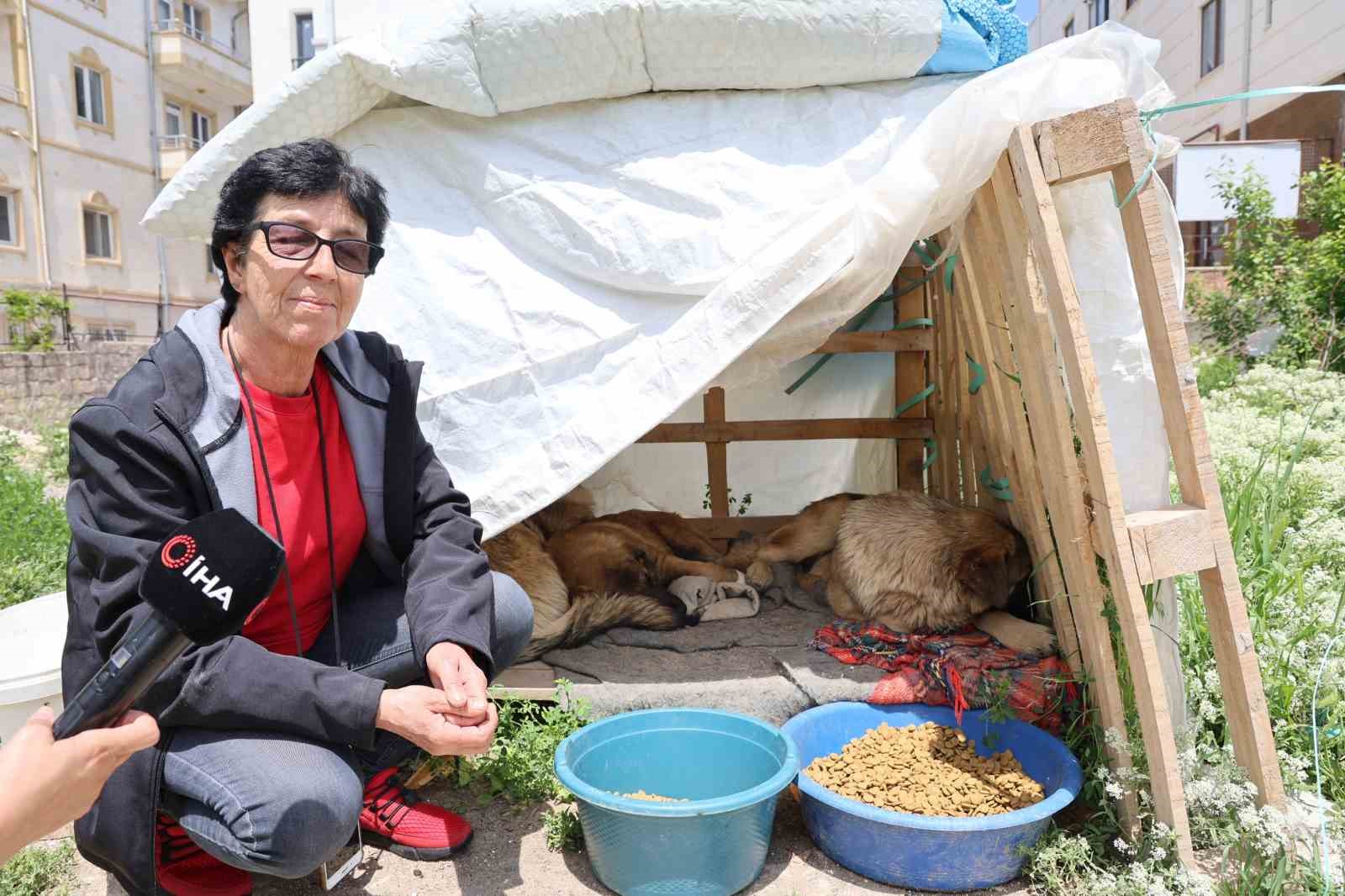30 yıldır sokak hayvanlarını besliyor