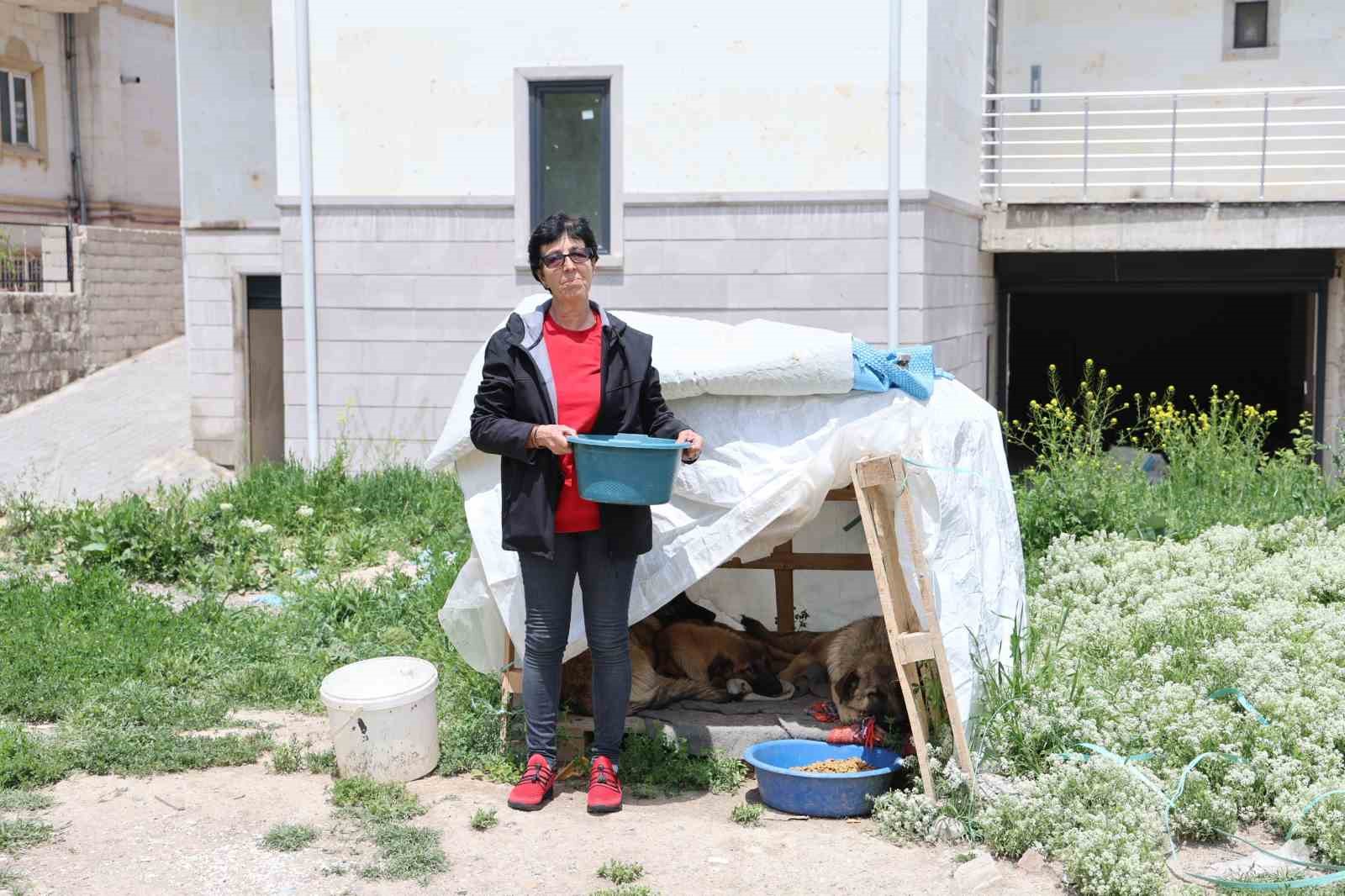 30 yıldır sokak hayvanlarını besliyor