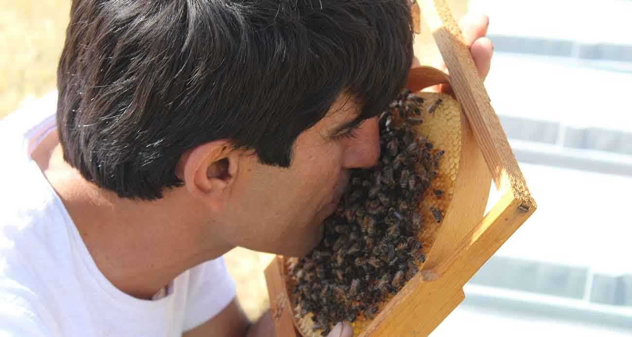 Arıcının arılarla kurduğu bağ görenleri şaşırtıyor