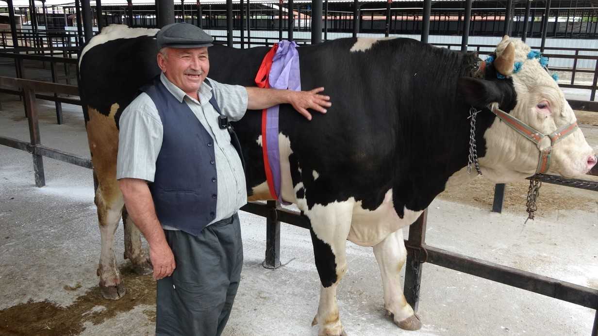 1 ton 200 kiloluk kurbanlık 350 bin TL’ye satıldı