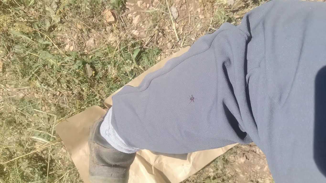 “Keneler, köpekler gibi koku alıp üzerimize geliyor” dedi, o anları kayıt altına aldı