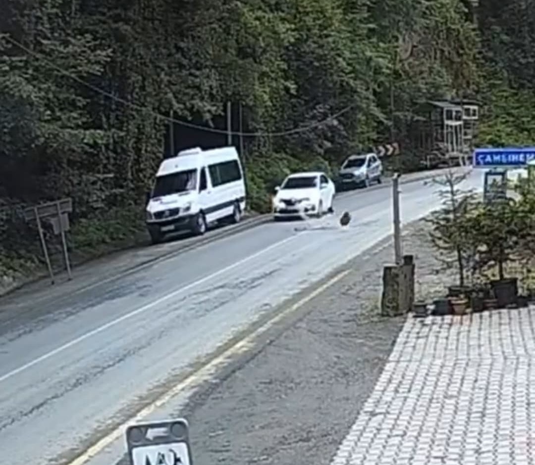 Ayder yolunda faciadan dönüldü