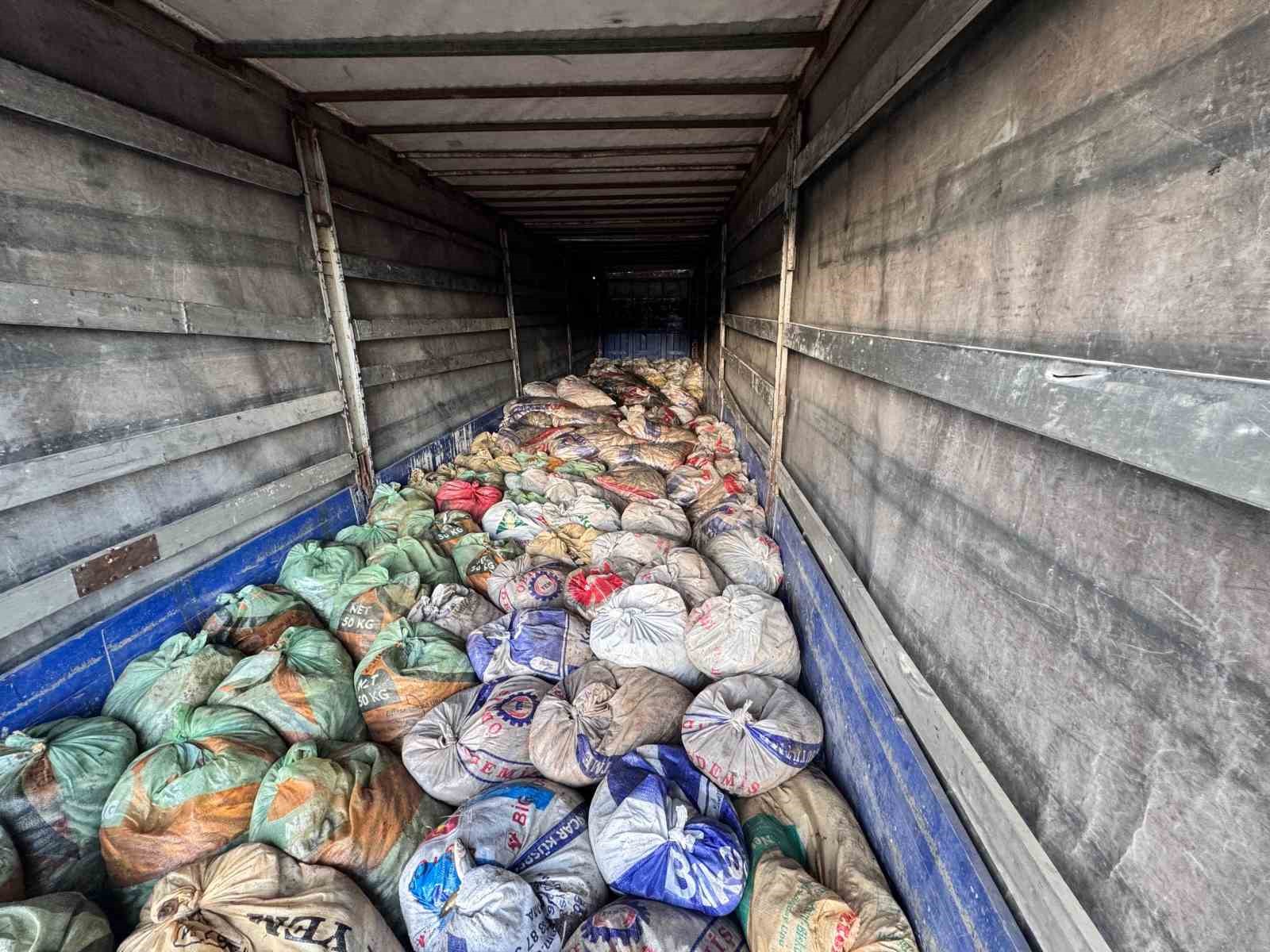 Van Balığı tehlikede: Tonlarca Kaçak Balık Ölüme Terk Edildi