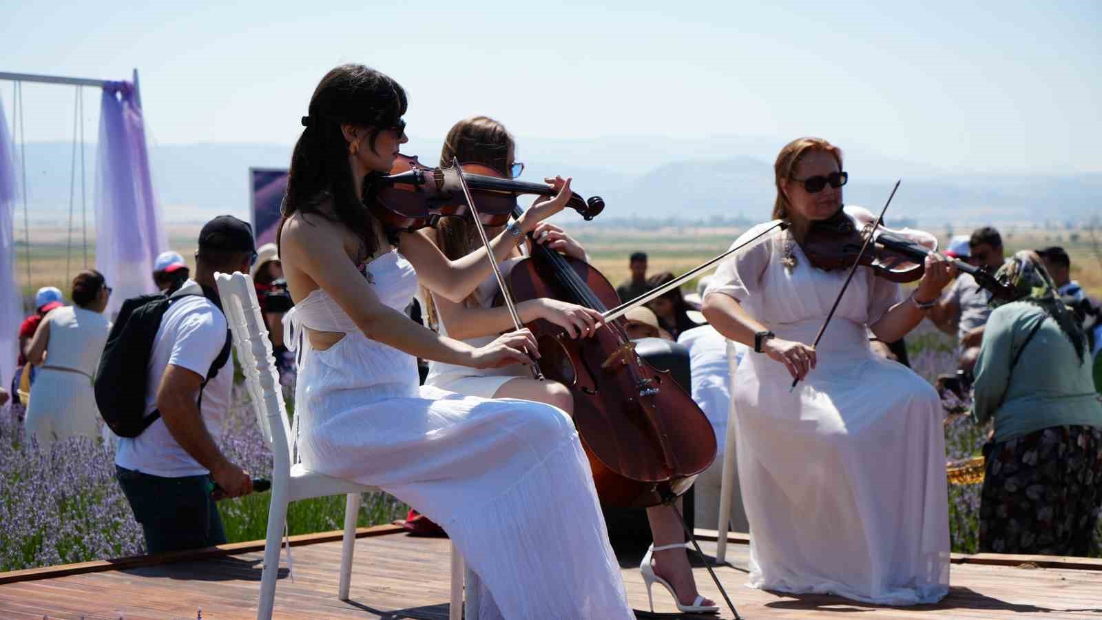 Lavanta tarlalarında mor bir şölen: Festival hasatla başladı, koku atölyeleri mest etti