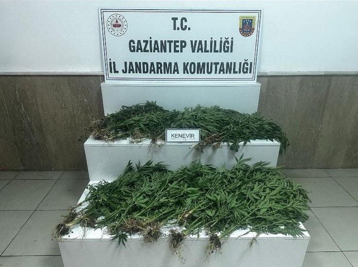 Gaziantep’te kaçakçılık ve uyuşturucu operasyonları: 12 tutuklama
