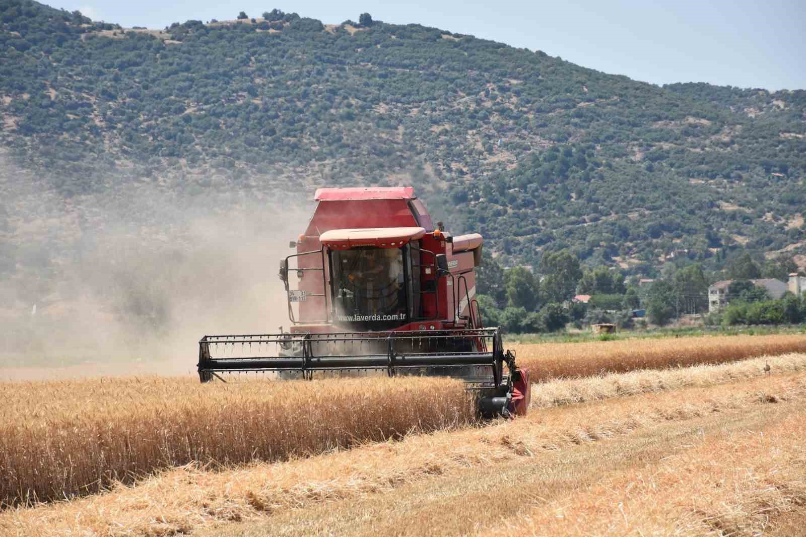 Çiftçilerden hayvan üreticilerine kritik uyarı: “Elinizi Çabuk Tutun”
