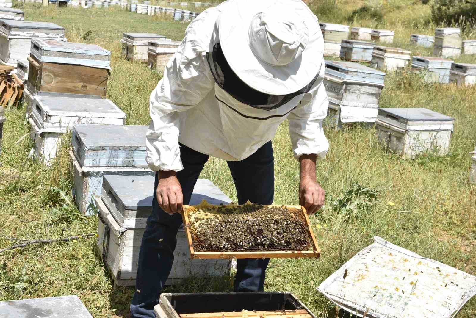 Kuraklık Bitlisli arıcıları kara kara düşündürüyor