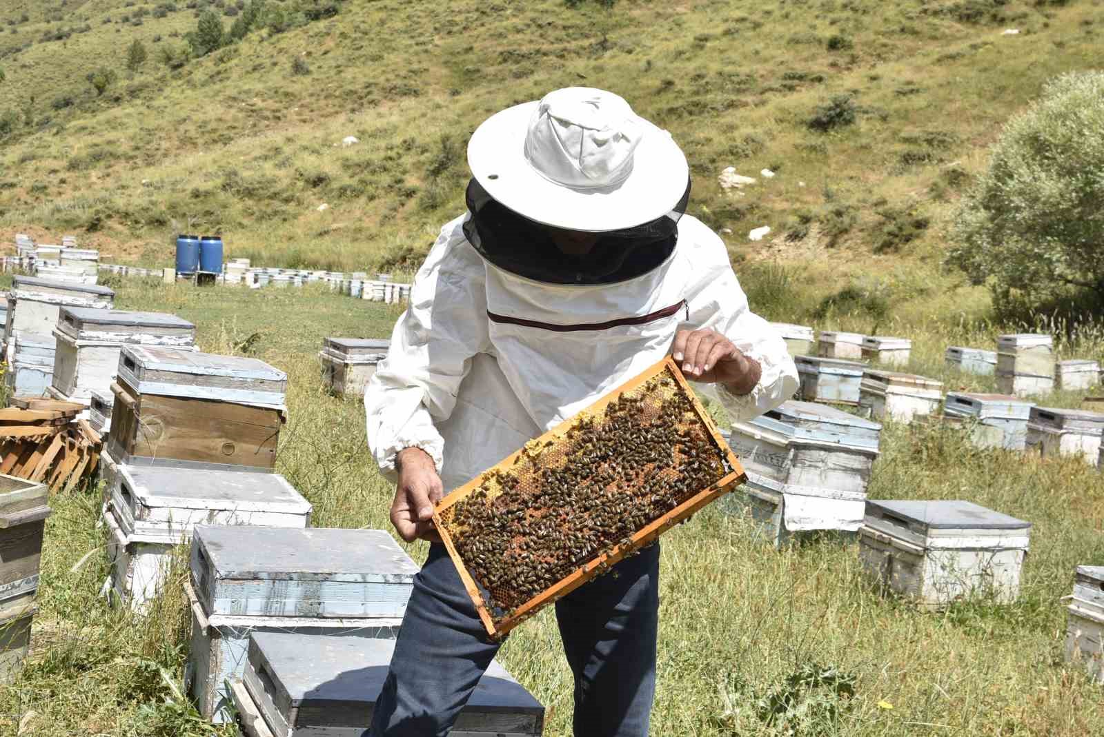 Kuraklık Bitlisli arıcıları kara kara düşündürüyor