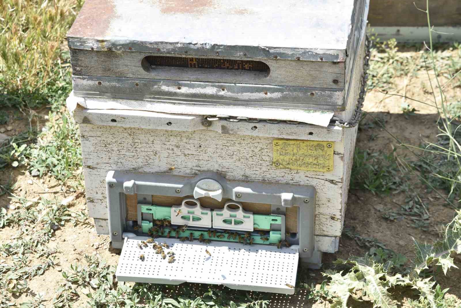 Kuraklık Bitlisli arıcıları kara kara düşündürüyor