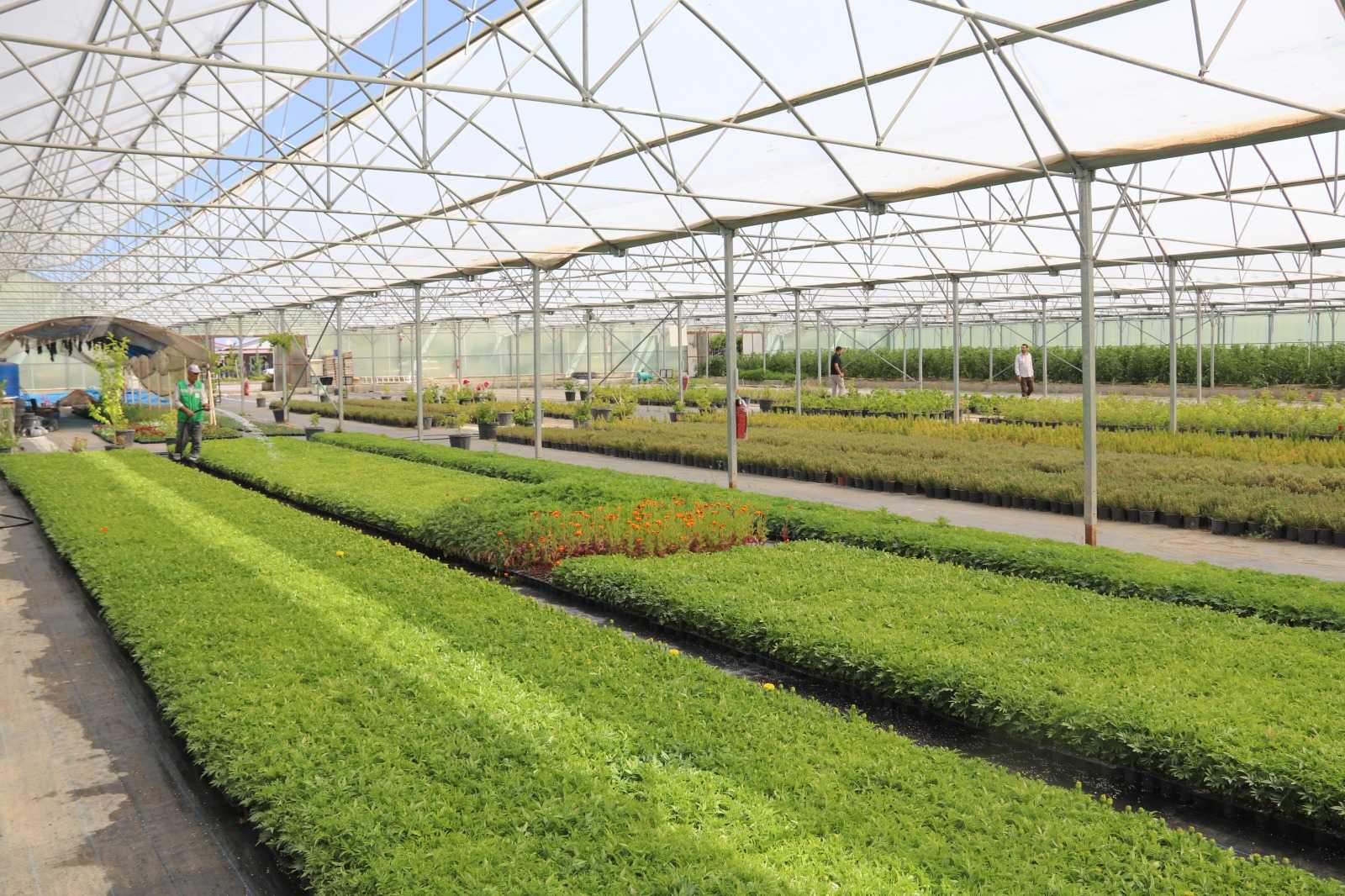 Edremit çiçeklerle yeşilleniyor