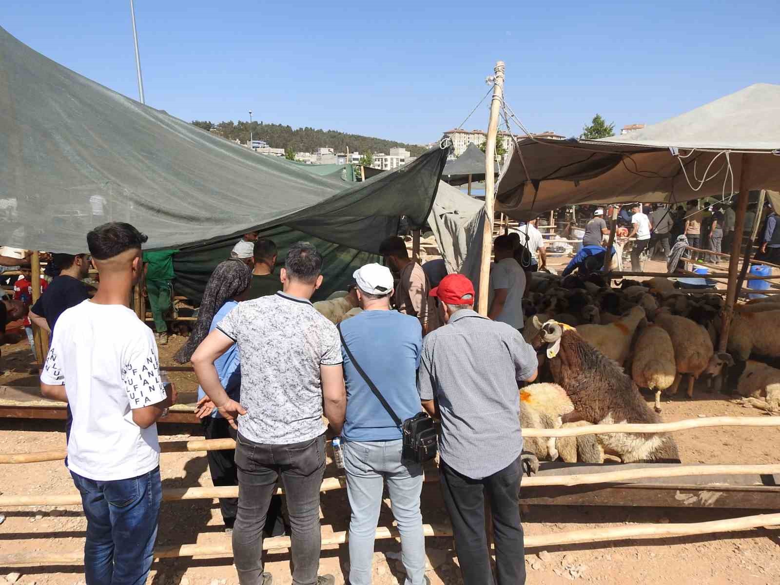 Kurban Bayramı’nın ilk günü hayvan pazarları dolup taştı