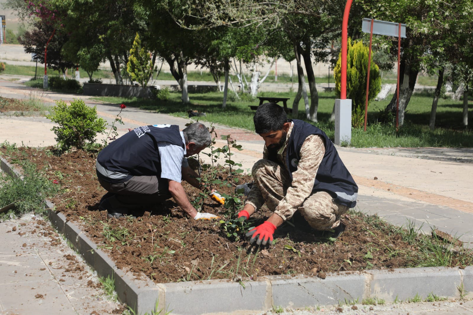 Gürpınar’da Bayram Öncesi Estetik Dokunuş: Parklar Çiçeklerle Renklendi