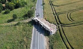 Arnavutköy’de patates yüklü tır devrildi, tonlarca patates tarlaya döküldü