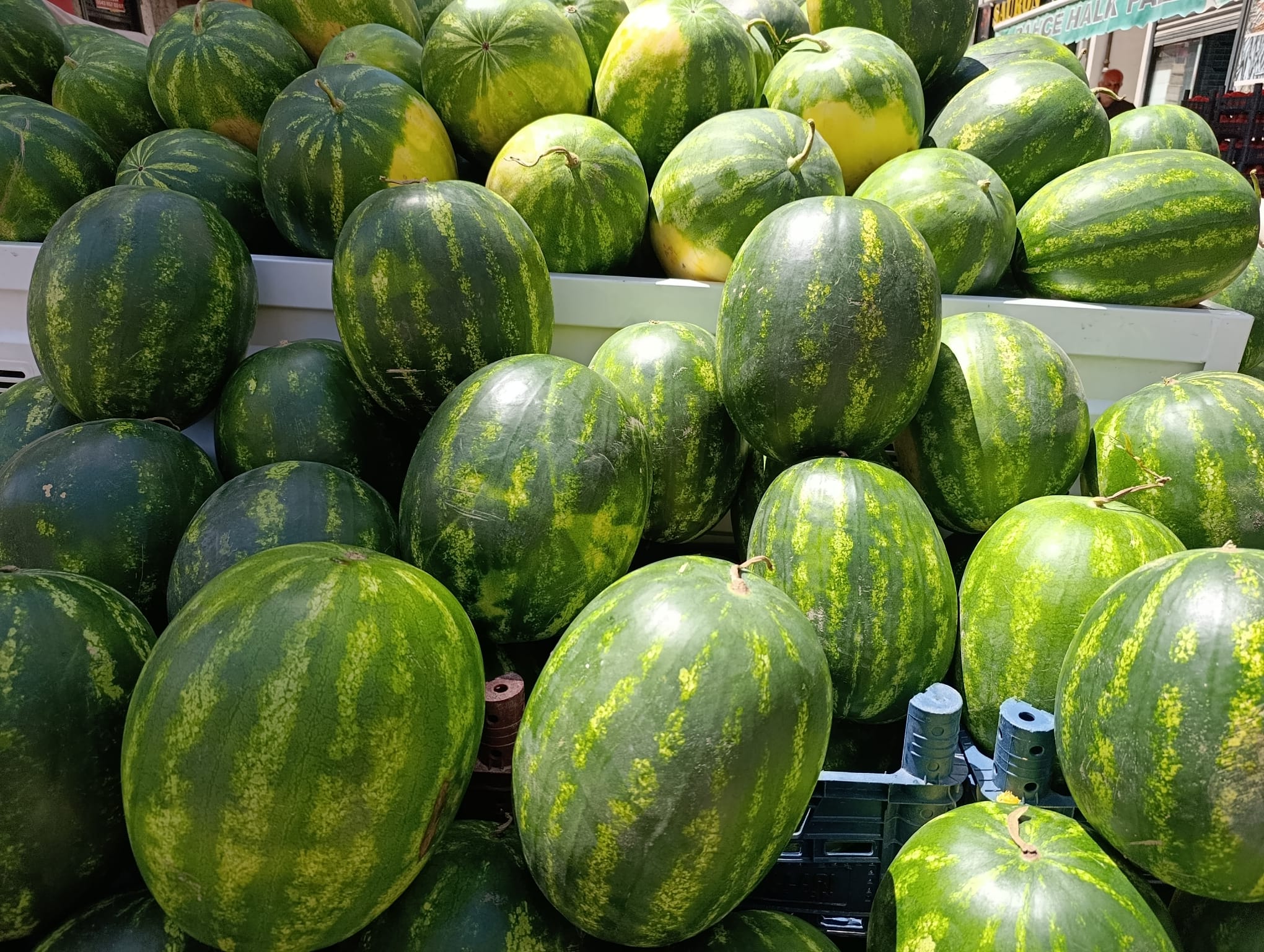 Vanlılar Dikkat! Lezzetli Karpuz Nasıl Anlaşılır?