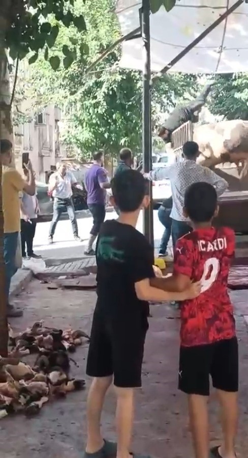 Kızgın Boğa Kasaba Halkının Kabusu Oldu!