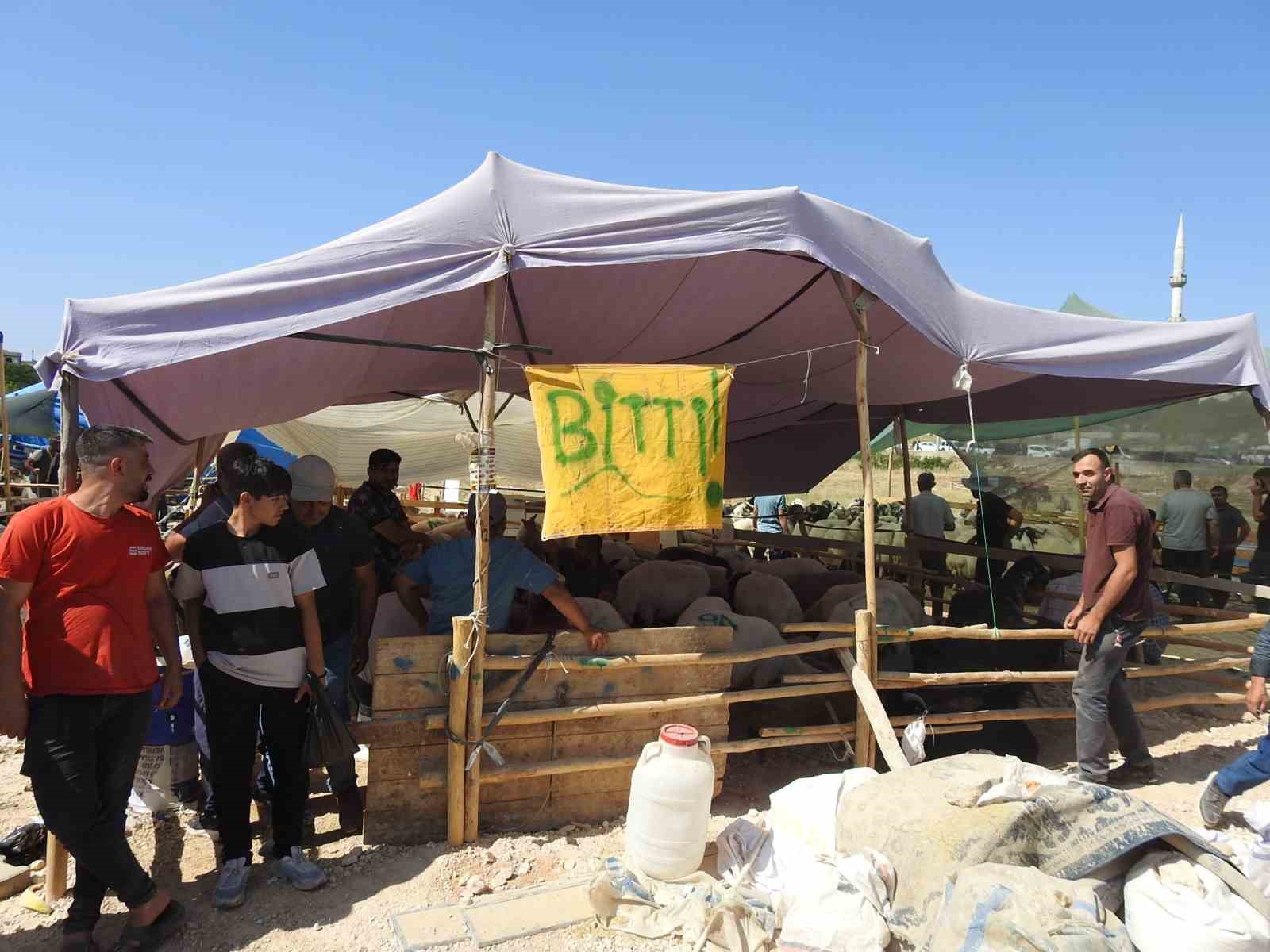 Kurban Bayramı’nın İlk Günü Hayvan Pazarlarında Yoğunluk Yaşandı