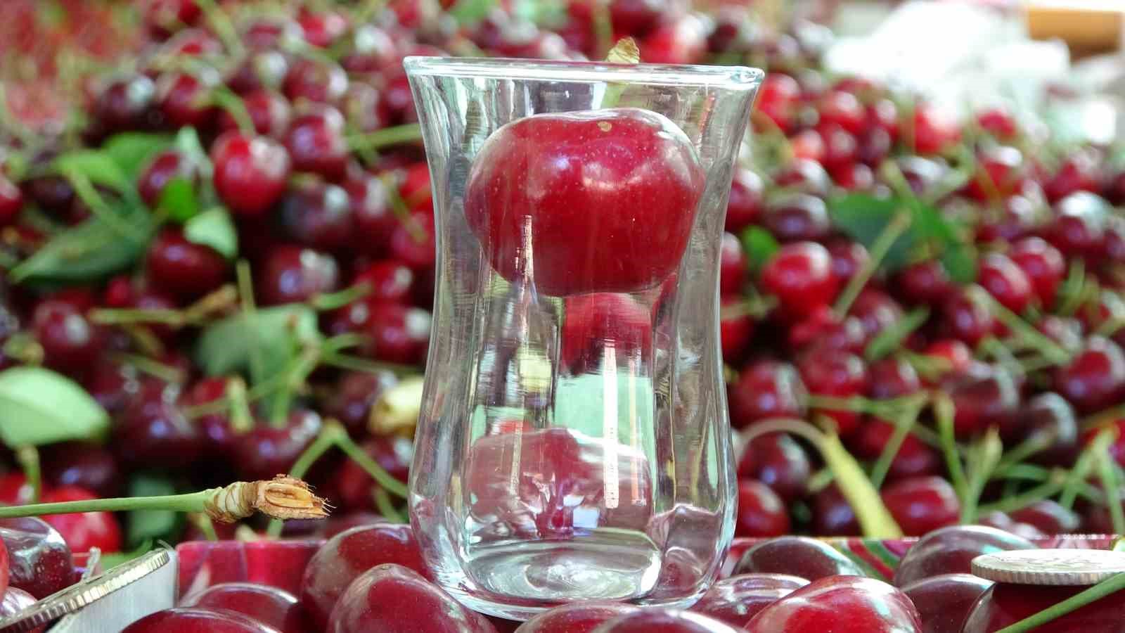 Lapseki’nin Dev Kirazları Tezgâhlarda: Hasat Başladı