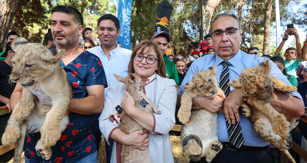 Cumhurbaşkanı Erdoğan’a hediye edilen aslanların 3 yavrusu doğdu