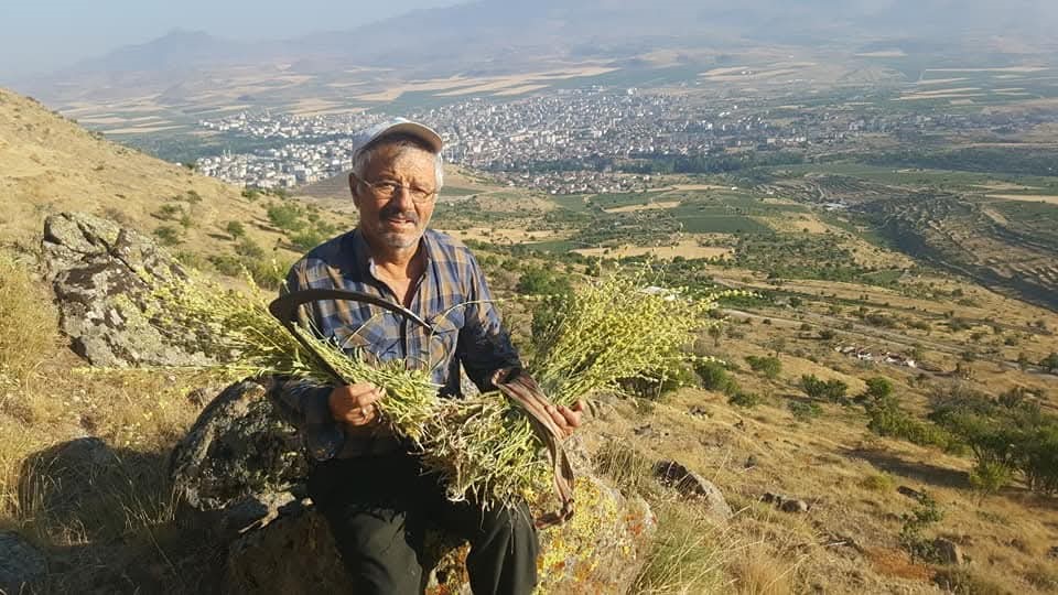 Şifa kaynağı: Karakovan Balı