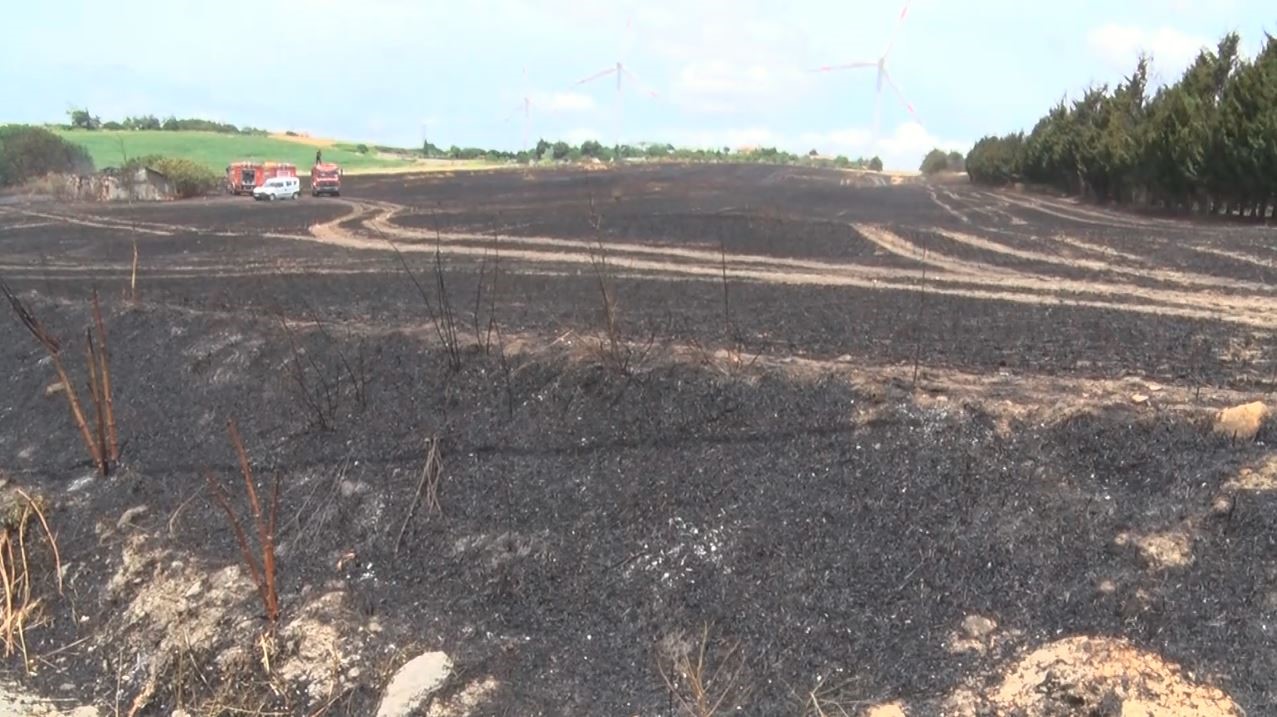 Sigara izmariti 30 dönüm buğdayı küle çevirdi