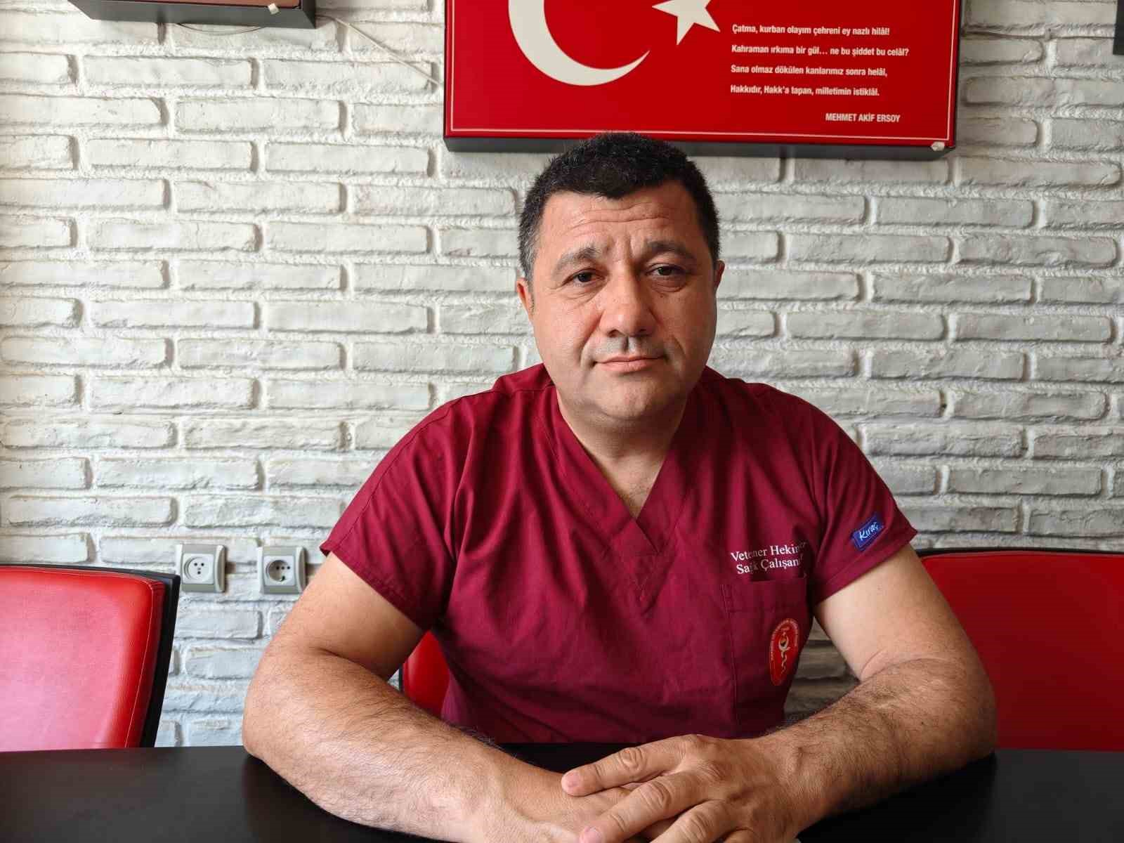 Sineklerle mücadele yönteminizi değiştirin