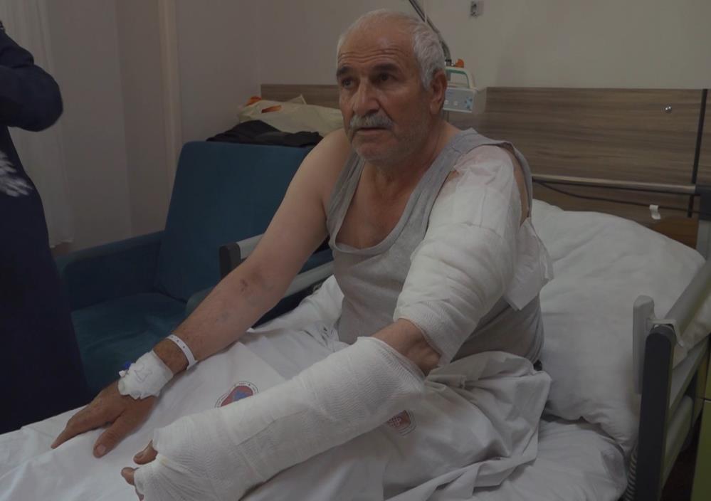 Van’da ot biçen vatandaş kurdun saldırısına uğradı