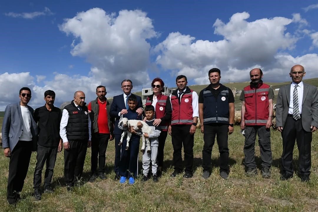 Van’da çiftçilere 235 bin koyun desteği verildi