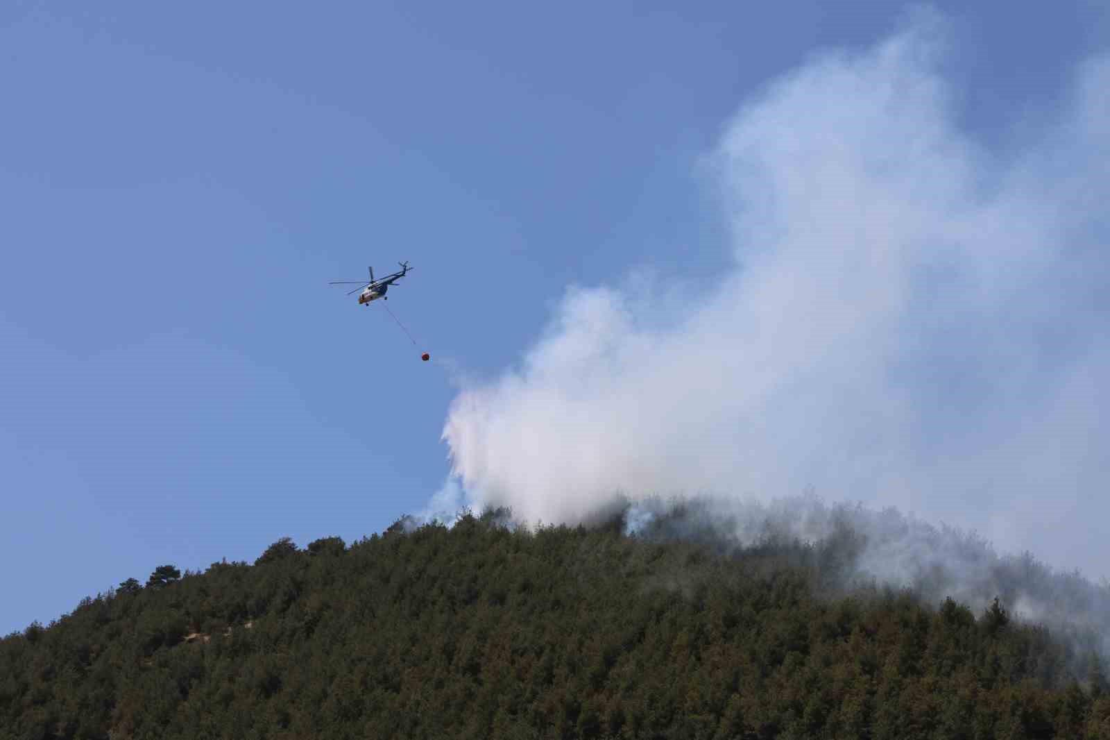 Yakılan anız, orman yangınına neden oldu