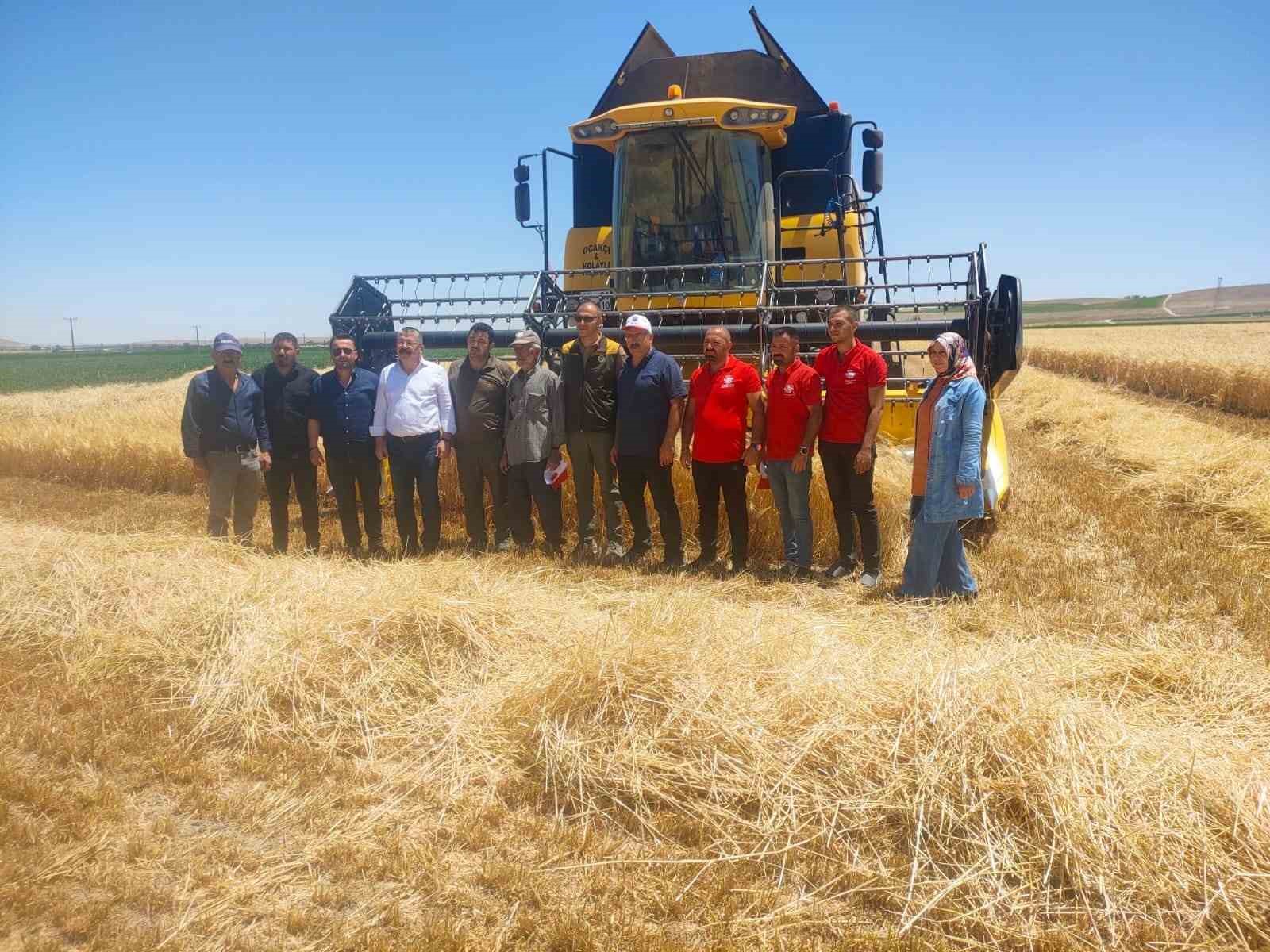 Hububat hasadı devam ediyor