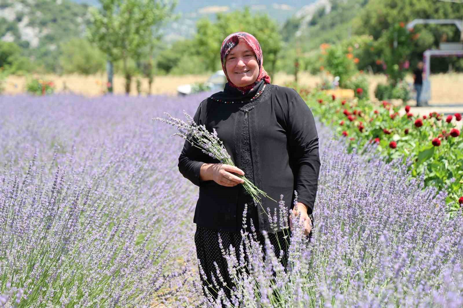 Lavanta Kokulu Hanımağalar