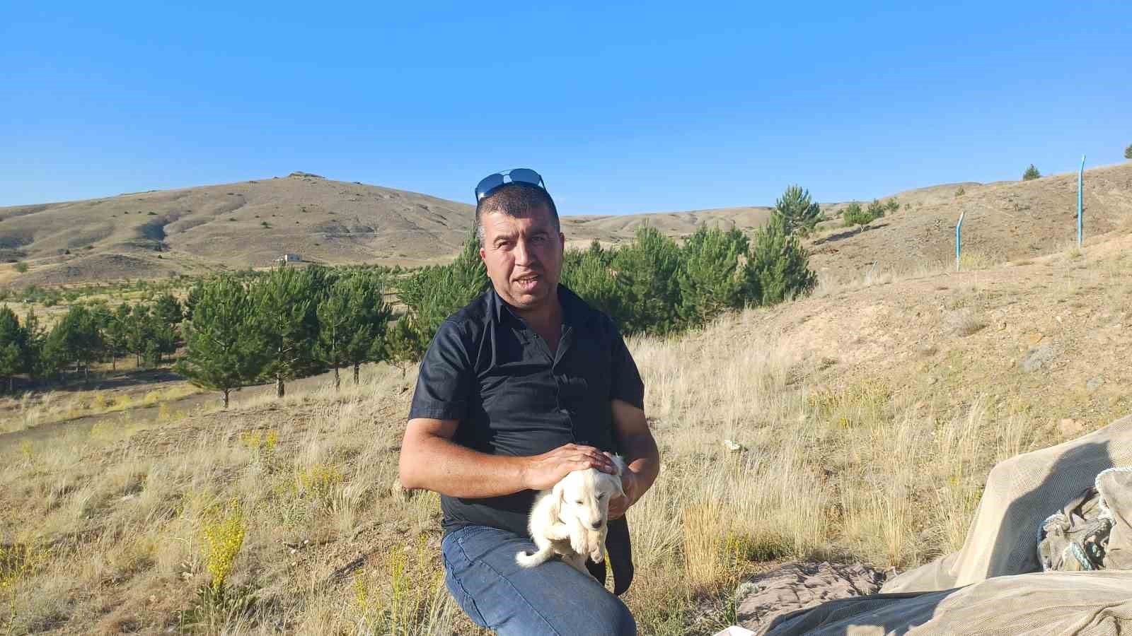 Sokak hayvanlarına ziyafet