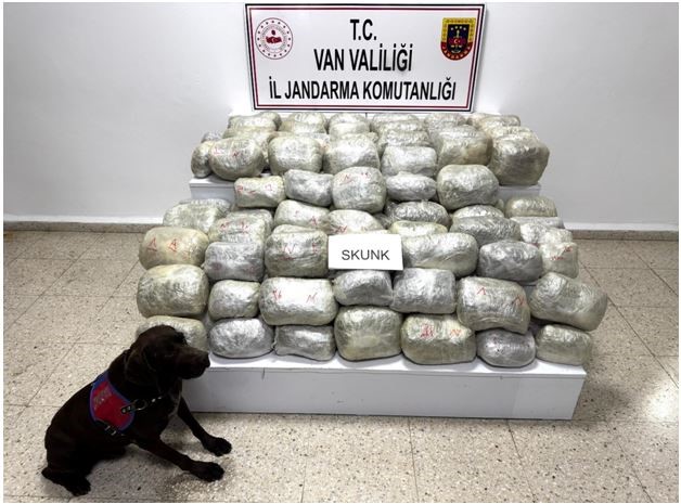 Van’da 70 Kilo Uyuşturucu Madde (Skunk) Ele Geçirildi