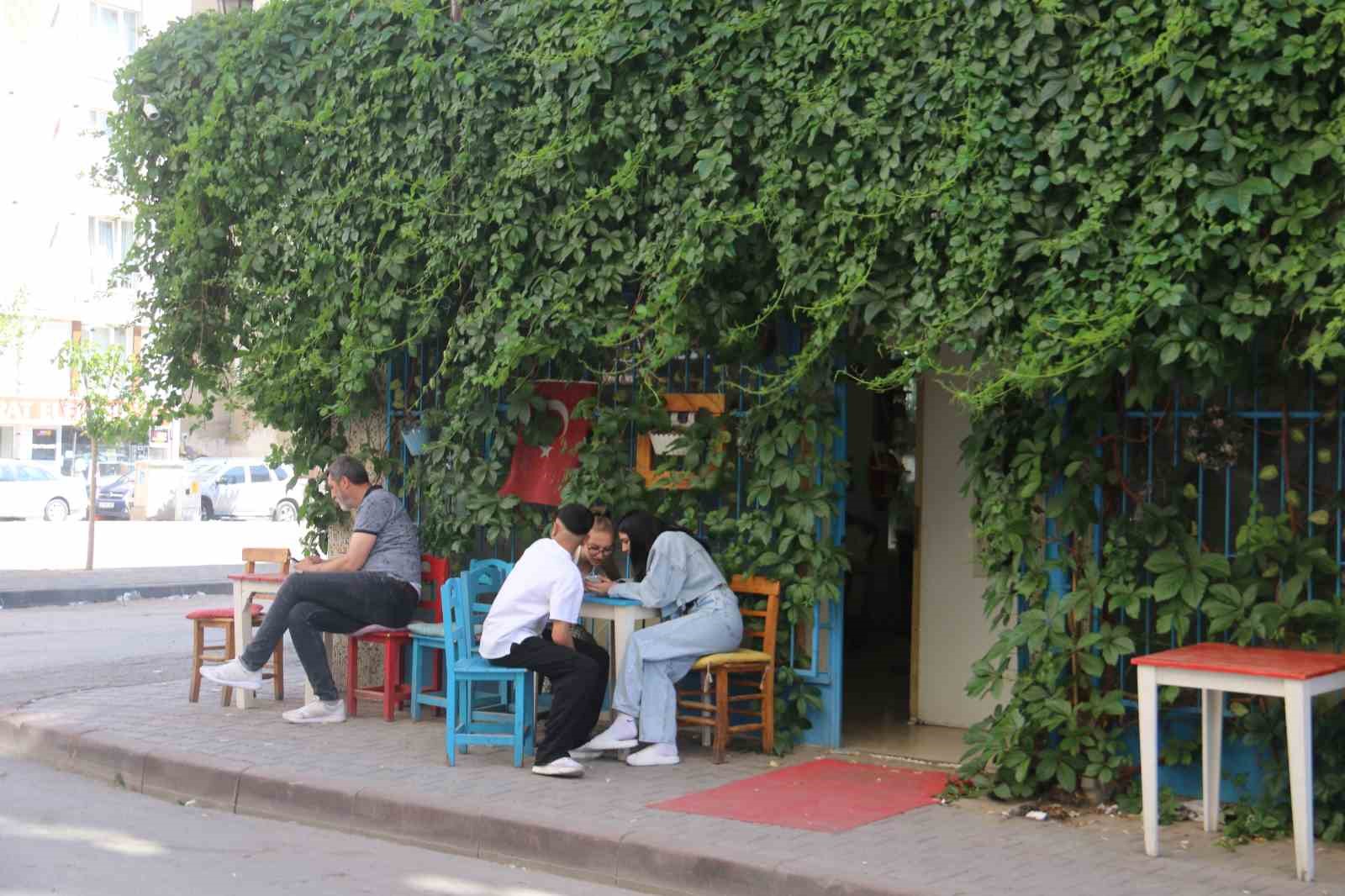 Sarmaşık kaplı kafe dikkat çekiyor