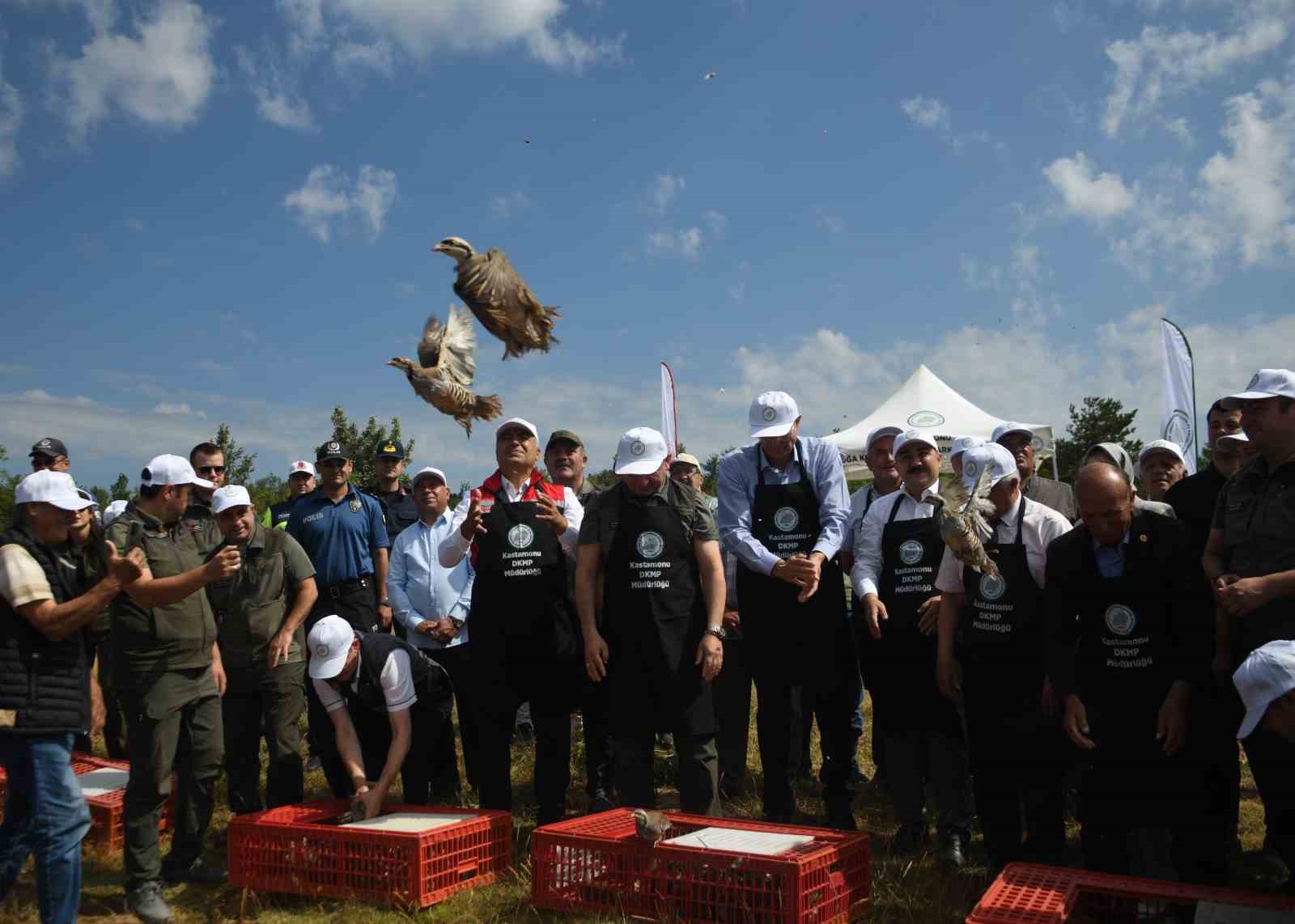 Kastamonu’da doğal denge için 2 bin 100 kınalı keklik doğaya bırakıldı