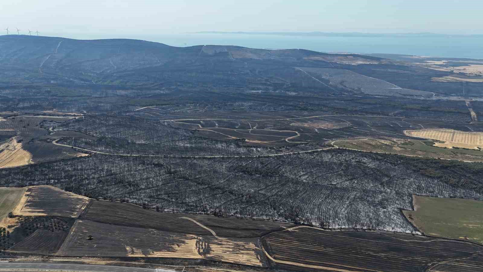 Çanakkale’de 119 futbol sahası büyüklüğünde alan yandı