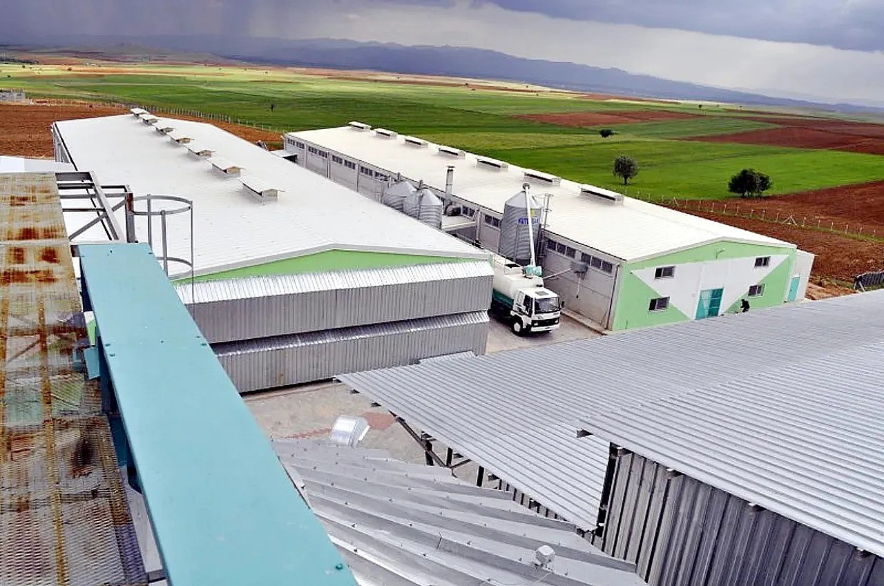 Yumurta firmasına, FETÖ soruşturması kapsamında kayyum atandı