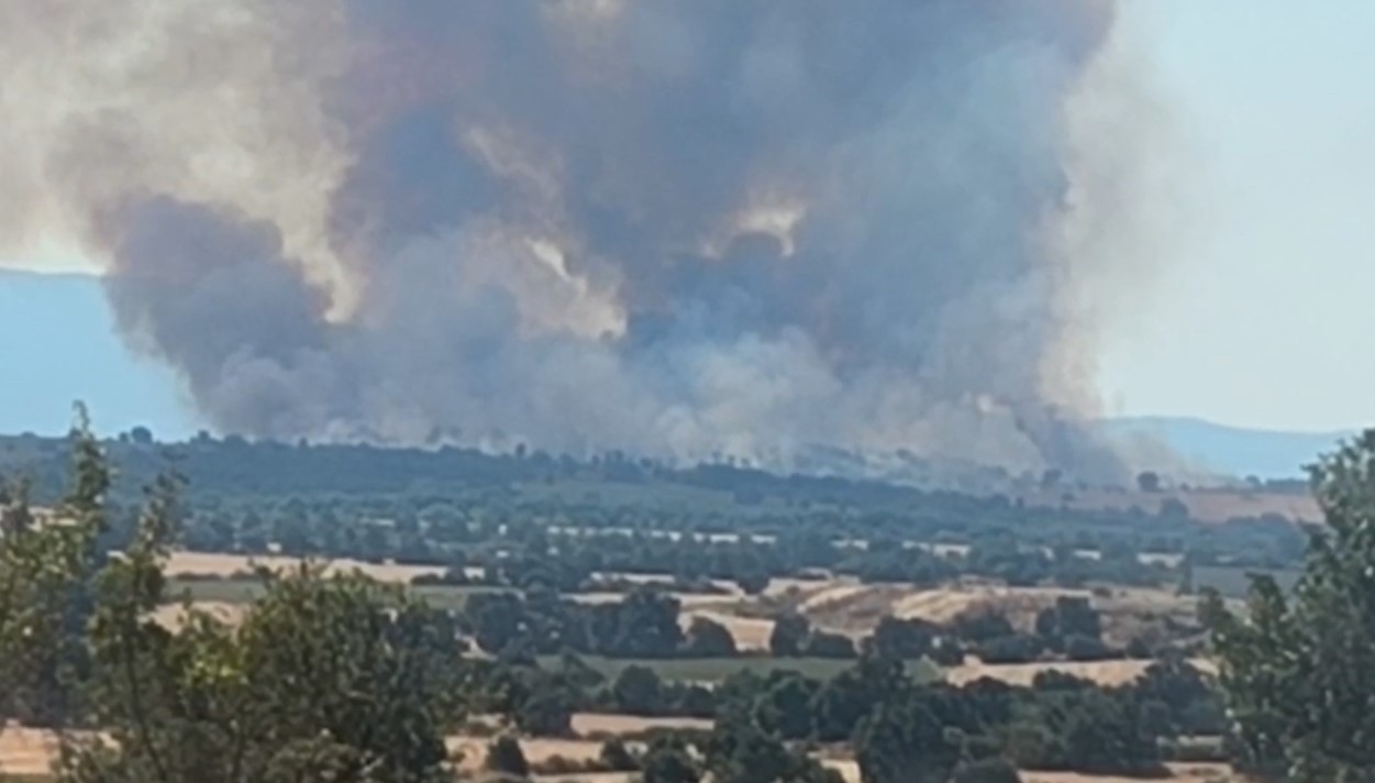 Bulgaristan’daki Yangın Türkiye Sınırına Kadar Ulaştı