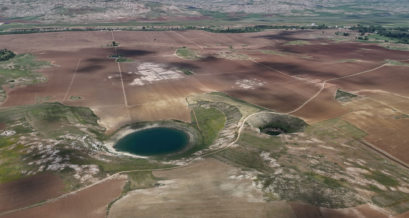 Doğayla Gelen Sessiz Tehdit: Kene