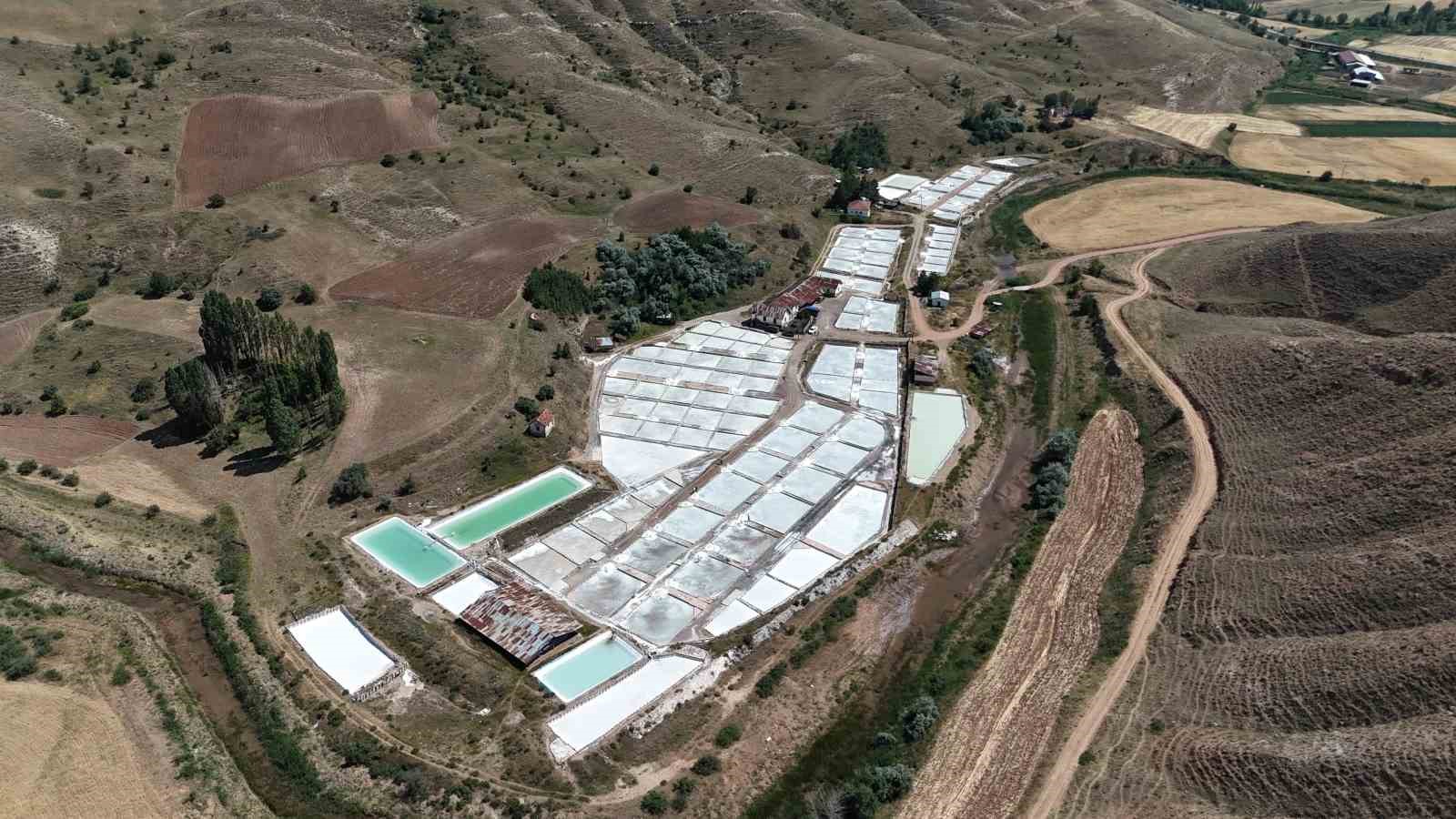 Beyaz altın hasadı başladı