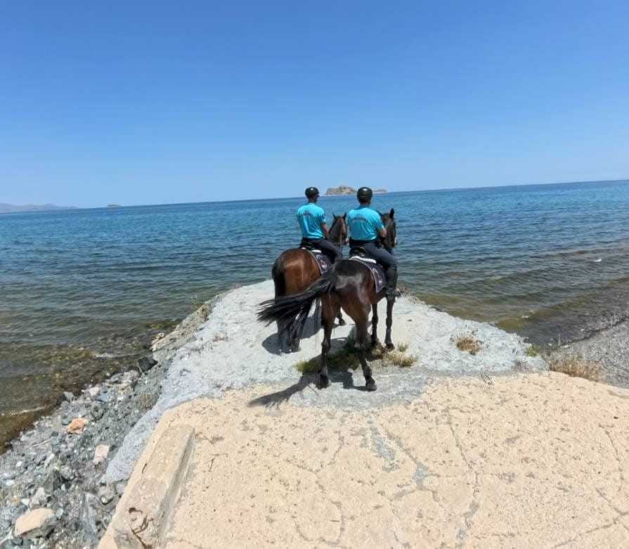 Van’da 27 kişi tutuklandı