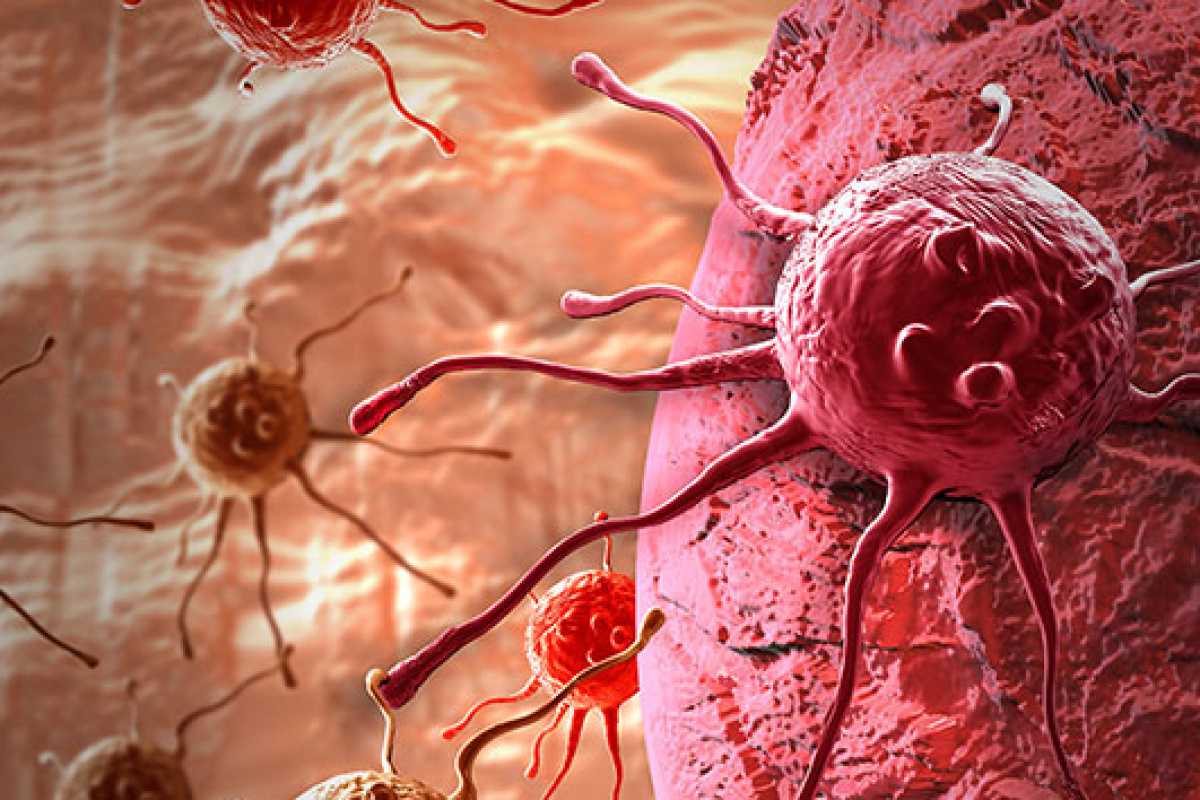 Akıllı İlaçlar Artık SGK Kapsamında