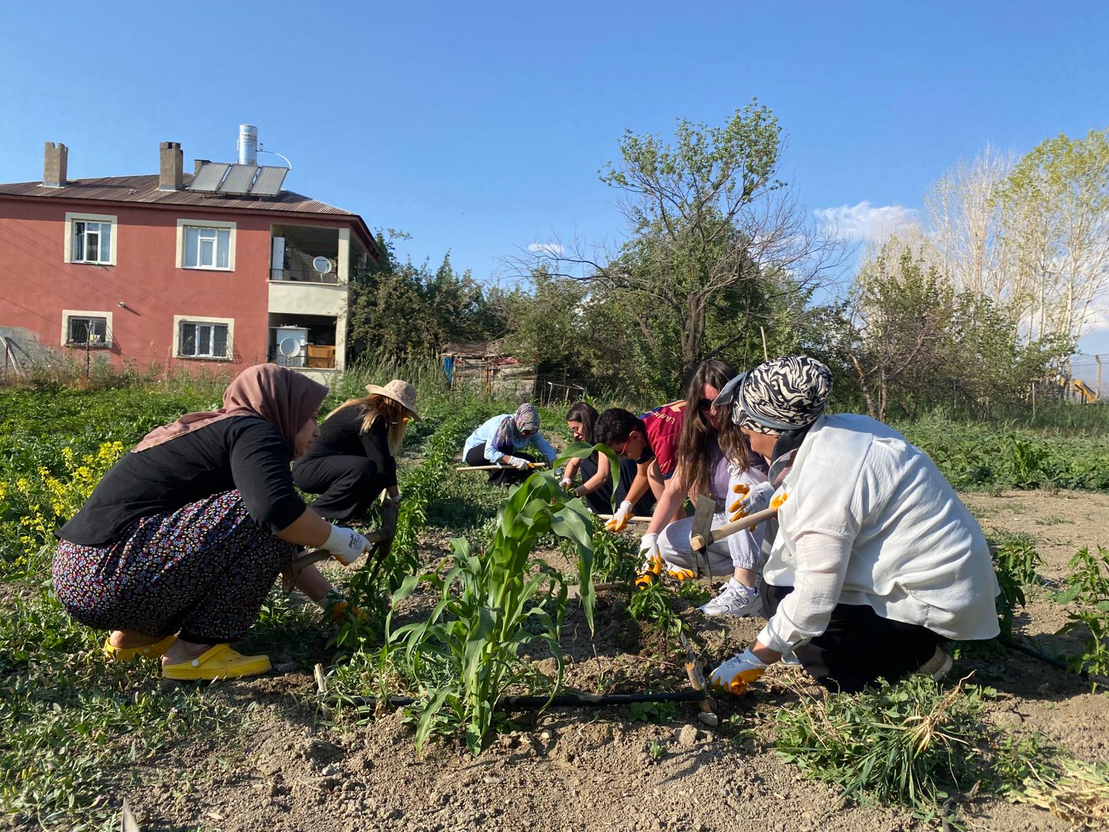 Edremit’te Kent Bostanı Kadınların Emeğiyle Yeşeriyor