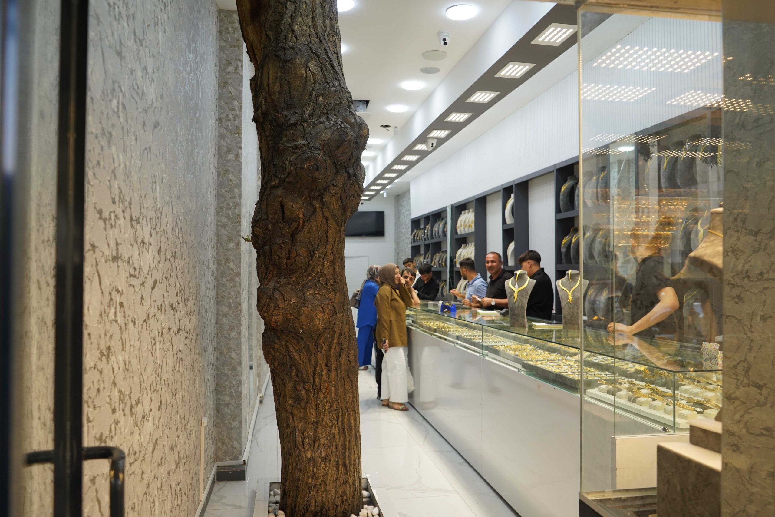 Van’da İçinden Ağaç Geçen Dükkan Görenleri Şaşırtıyor: “Kesmedik, Yaşattık!”