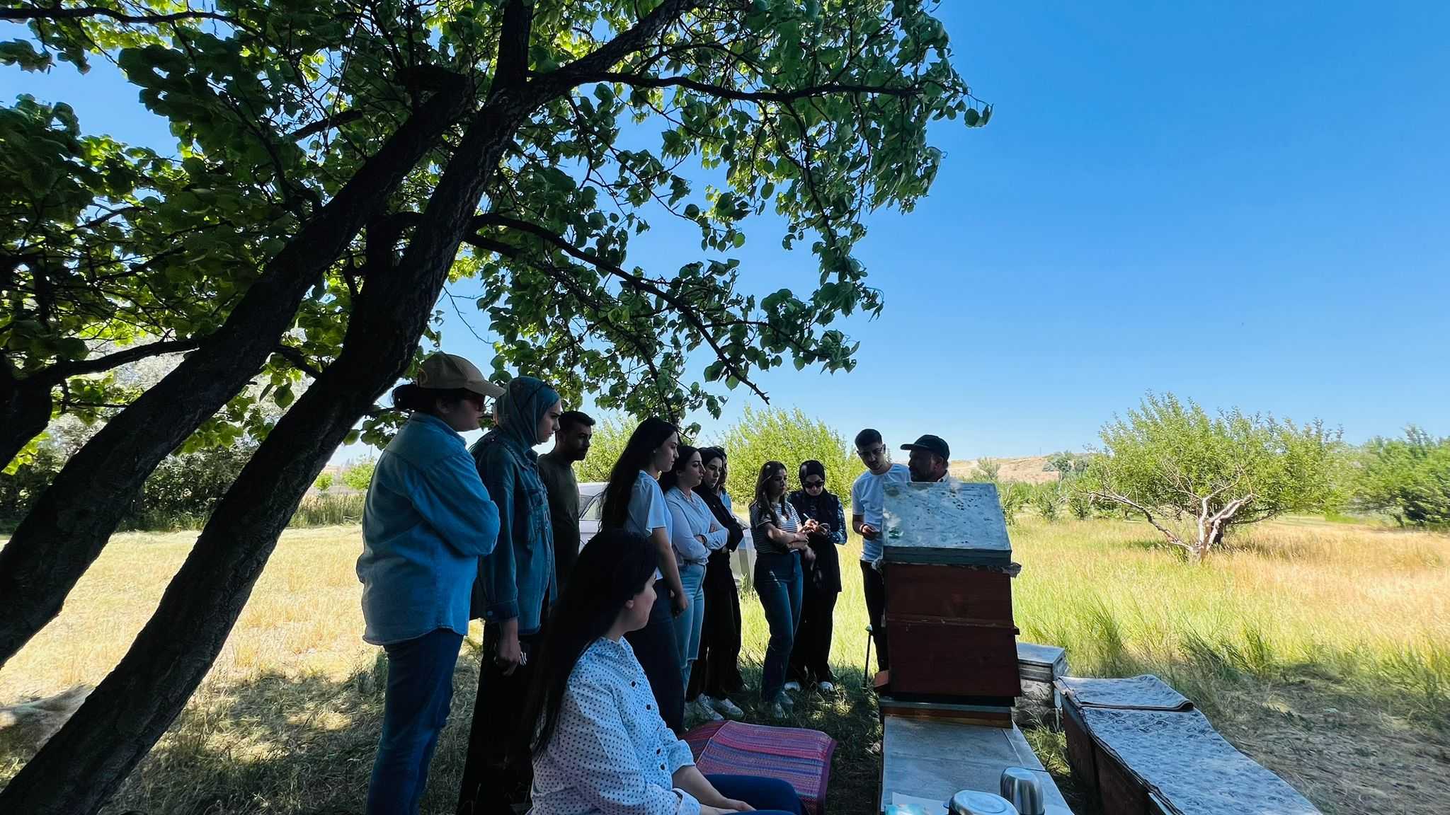 Van’da Üniversite Öğrencilerine Uygulamalı Arıcılık Eğitimi