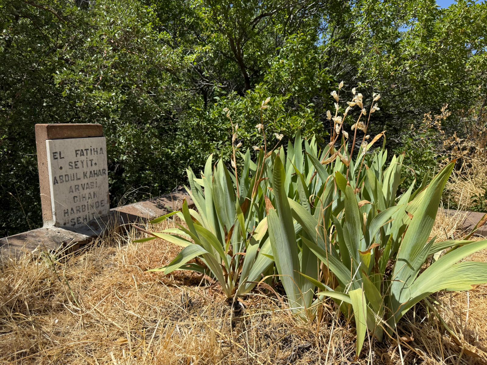 Seyyid Abdulkahhar’ın (ks) Şehadeti