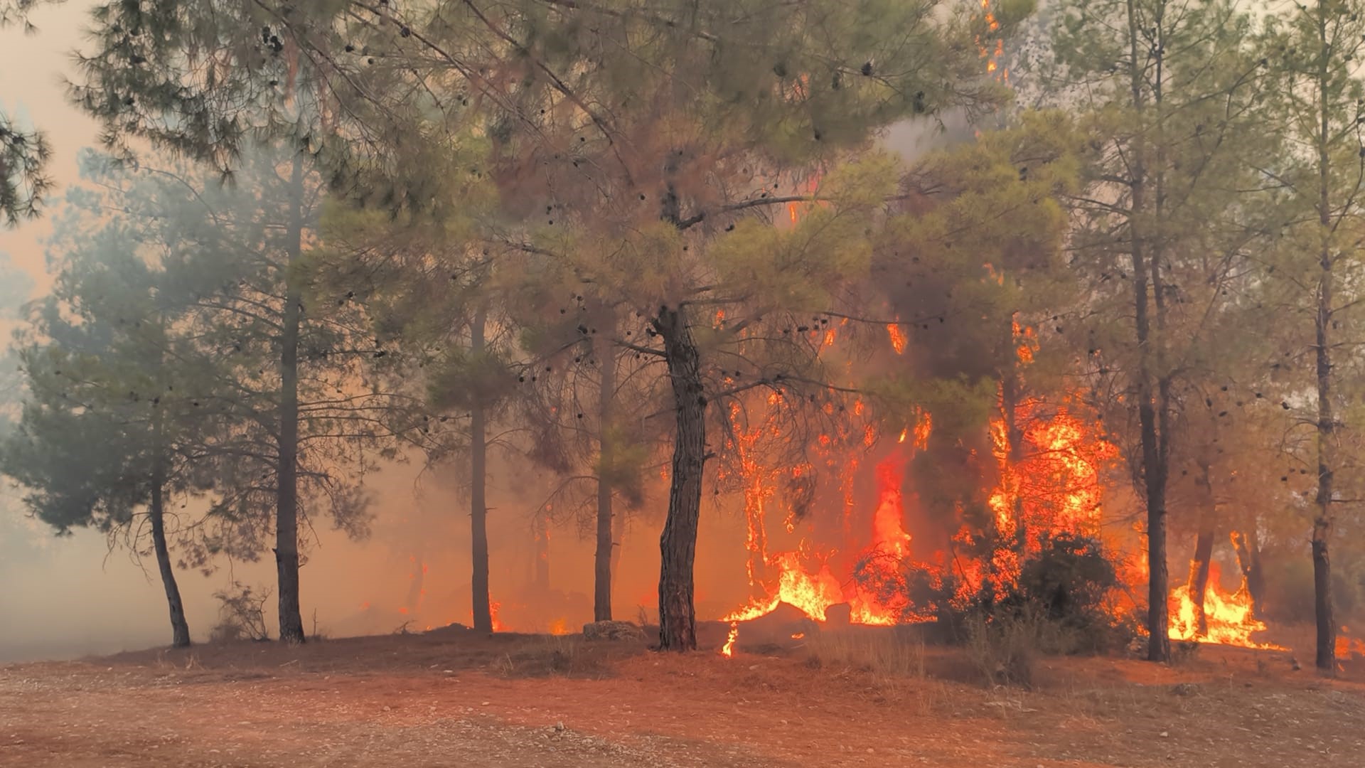 Antalya’da 3 İlçede Orman Yangını: Tahliyeler Başladı